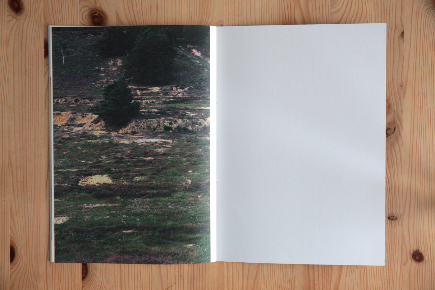 book pp 24-25